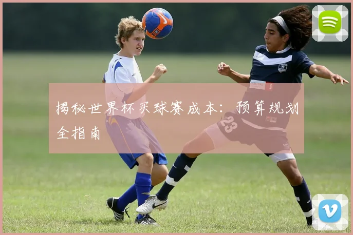 揭秘世界杯买球赛成本:预算规划全指南
