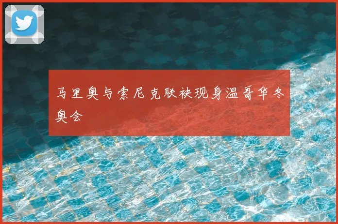 马里奥与索尼克联袂现身温哥华冬奥会